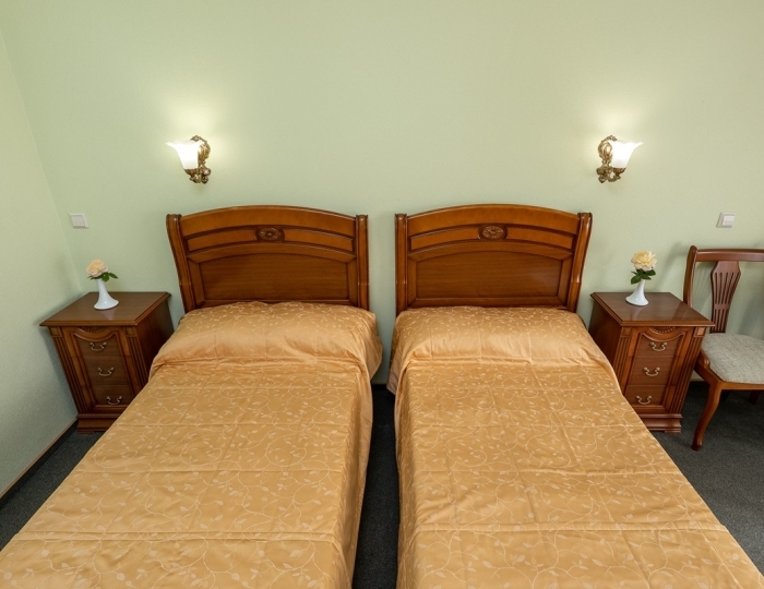 Стандартный 2-местный 1 этаж - Санаторий «Пушкино» Гурзуф